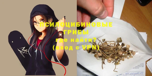 крисы Мегион