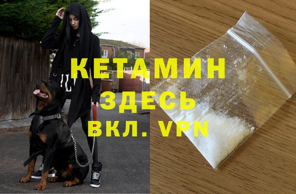 крисы Мегион