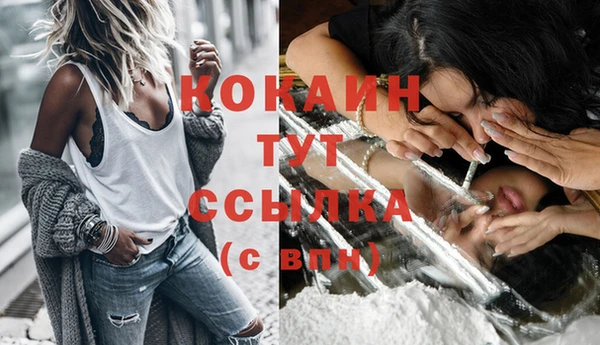 крисы Мегион
