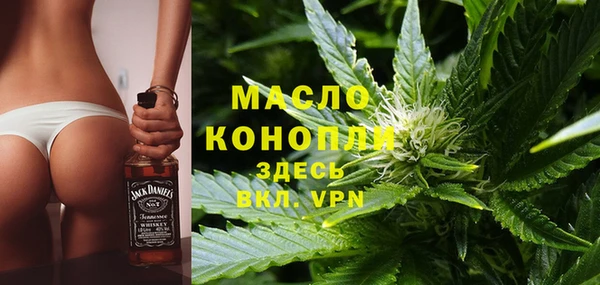 крисы Мегион