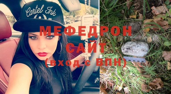 крисы Мегион