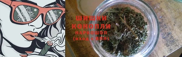 крисы Мегион